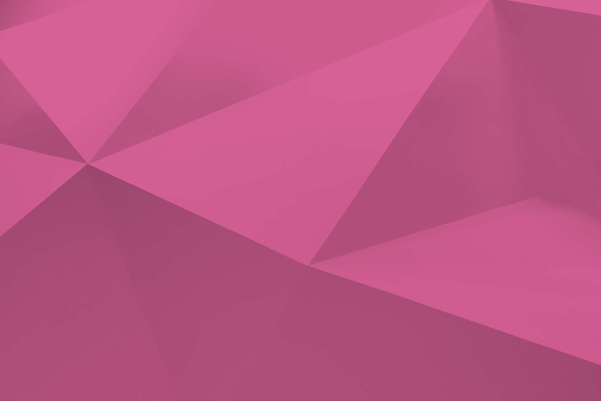 La laïcité et l'Enseignement catholique